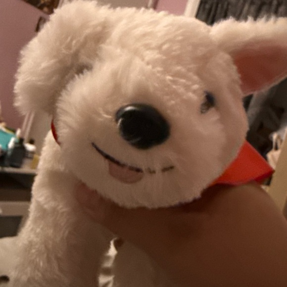 piglover994